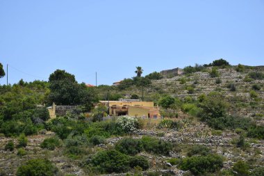 Güzel manzara, yeşil bitkiler ve dağlar.