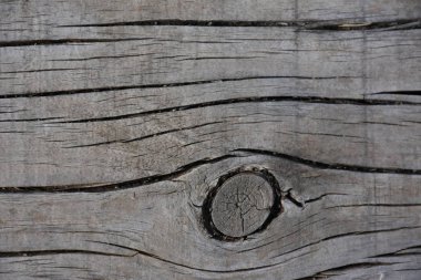 güzel ahşap arkaplan ve doku