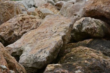 güzel arkaplan, doku ve duvar