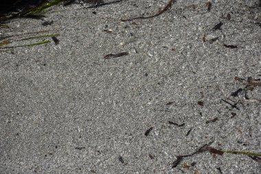 güzel arkaplan, doku ve duvar