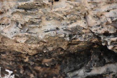 güzel arkaplan, doku ve duvar