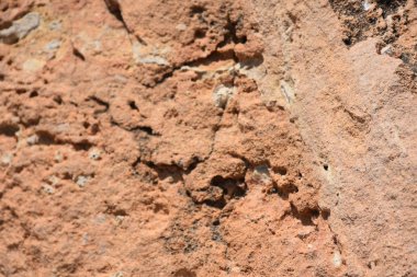 güzel arkaplan, doku ve duvar