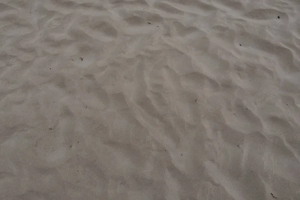 Vacker Grön Sand Bakgrund Stranden — Stockfoto