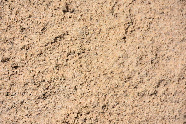 beautiful background and texture and wall