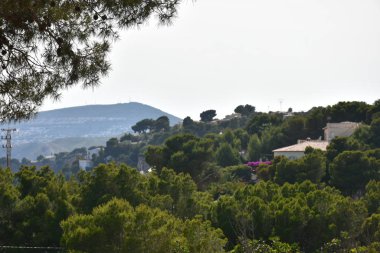 Güzel manzara, yeşil bitkiler ve dağlar.