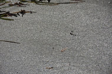 güzel arkaplan, doku ve duvar