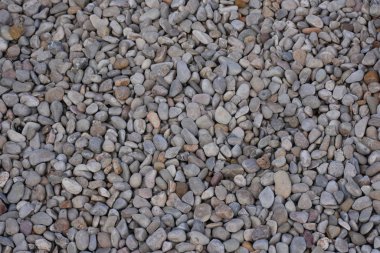 Sahilde deniz taşları, doku ve arka plan.