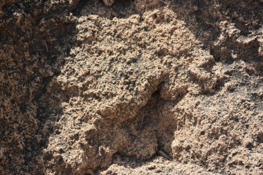 güzel arkaplan, doku ve duvar