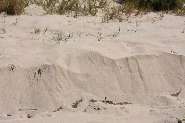 Krásný Zelený Písek Pozadí Pláži — Stock fotografie