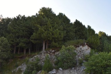 beautiful landscape and mountains and sky