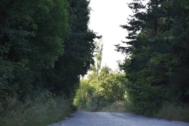 beautiful landscape and the village and the sky,