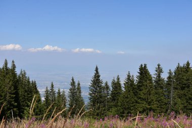 beautiful landscape and mountains and sky