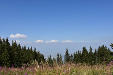 beautiful landscape and mountains and sky