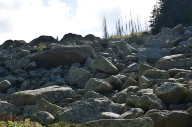 güzel arkaplan, doku ve duvar