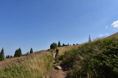 dad and daughter on the background of nature
