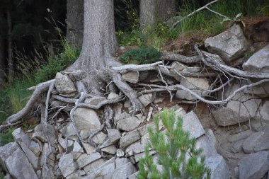 beautiful landscape and mountains and sky