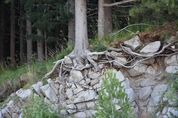 Piękny Krajobraz Góry Niebo — Zdjęcie stockowe