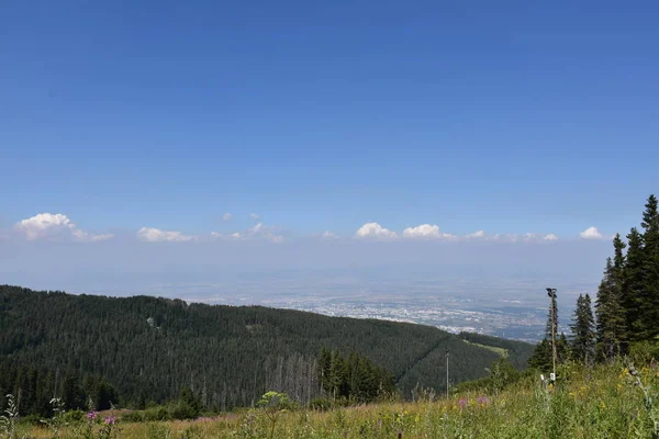 美丽的风景 青翠的植物和山脉 — 图库照片