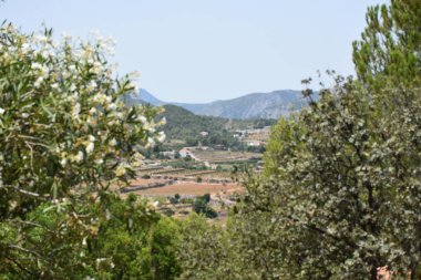 Yazın güzel manzara ve ev