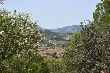 Yazın güzel manzara ve ev