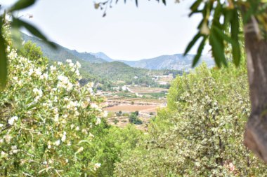 Yazın güzel manzara ve ev