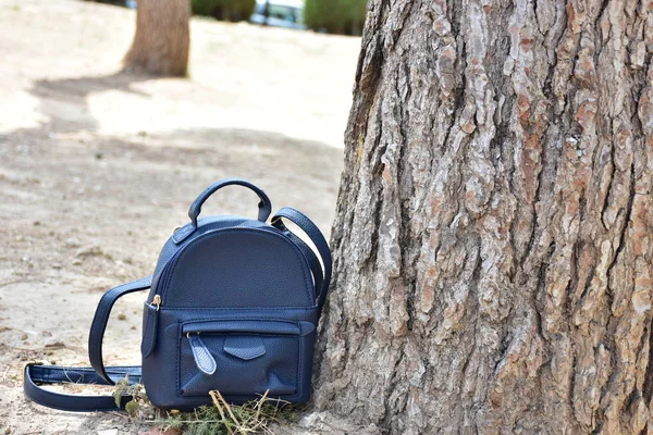 一棵树旁的一个黑色背包 — 图库照片