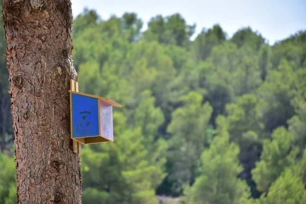 Vogelhäuschen Aus Holz Für Vögel Auf Einem Baum — Stockfoto