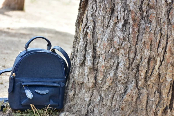 一棵树旁的一个黑色背包 — 图库照片