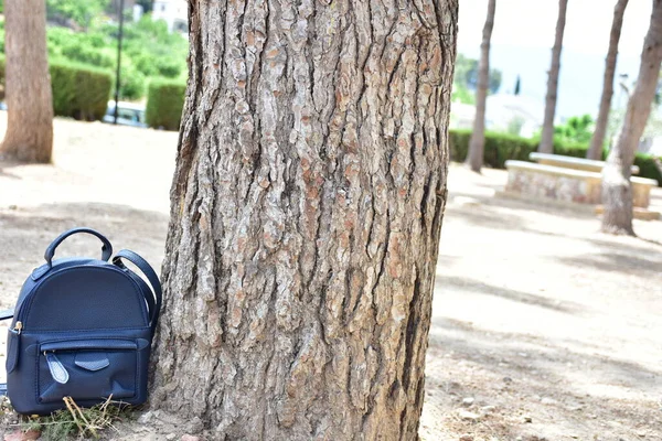 Uno Zaino Nero Vicino Albero — Foto Stock