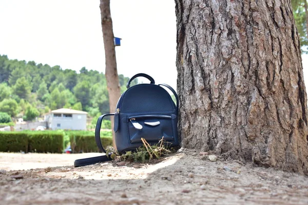 Чорний Рюкзак Біля Дерева — стокове фото