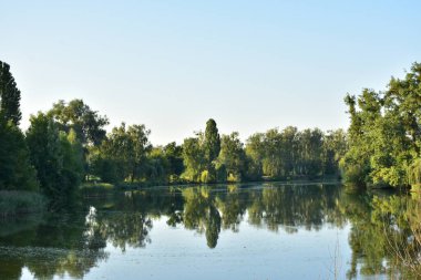 Güzel yeşil manzara ve göl,