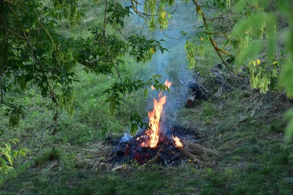 Feu Joie Sur Fond Paysage Vert — Photo