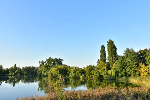 美しい緑の風景と湖 — ストック写真