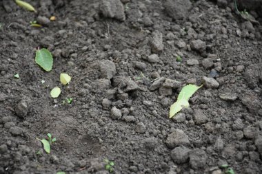 Hafif arkaplanda sarı sayfa