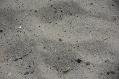 Sahildeki güzel yeşil kum arka planı,