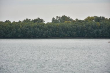 Natural background of gloomy riverside during daytime