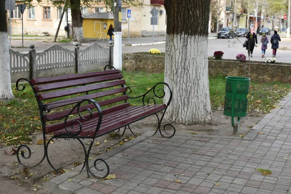 Wooden Bench Park — Stock Photo, Image