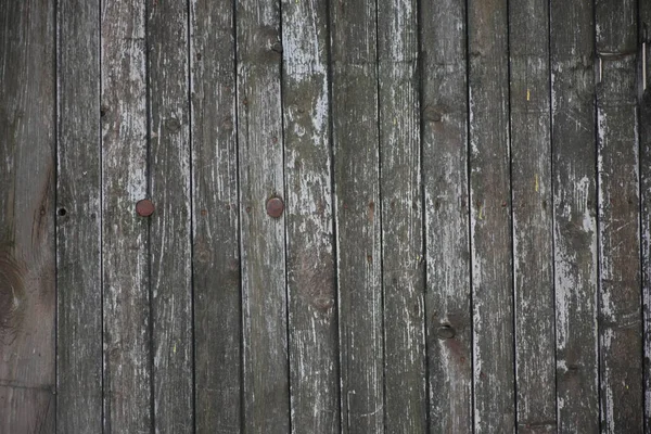 Beautiful Wooden Background Texture — Stock Photo, Image