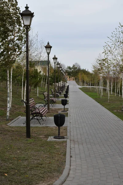 Straße Und Park Und Landschaft — Stockfoto