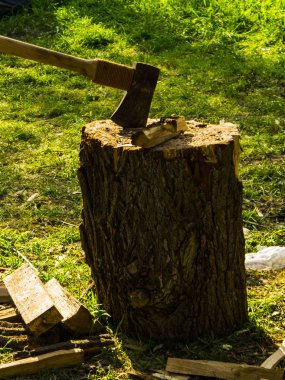 AX yeşil çim arka planda bir ağaç kütüğinde sıkışmış