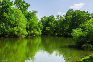 Orman Nehri öğleden sonra olabilir. Nehirde bahar manzarası