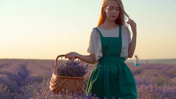 Happy Young Beautiful Woman walking in Lavender Field with basket in White and green Dress — Stock Video