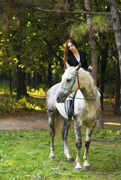 Νέοι μελαχρινή ομορφιά κορίτσι χαϊδεύει απαλά το άλογό της στο πάρκο — Φωτογραφία Αρχείου