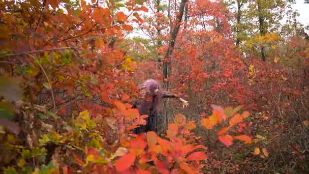 Młody różowe włosy czarownicy Szukaj odczynników w mistyczne jesień las. Przygotowaniu Halloween. — Wideo stockowe
