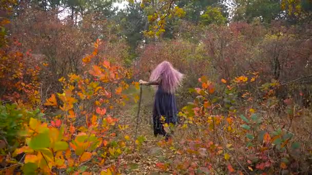 Fiatal rózsaszín haj boszorkány kalap keresés reagensek a misztikus őszi erdőben. Közeleg a Halloween. — Stock videók