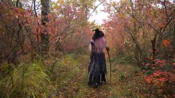 Junge rosa Haarhexe mit Hut auf der Suche nach Reagenzien im mystischen Herbstwald. Bald Halloween. — Stockvideo