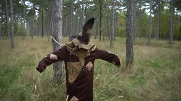 Horror bonded Scarecrow standing in the forest with Sackcloth Mask — Stock Video