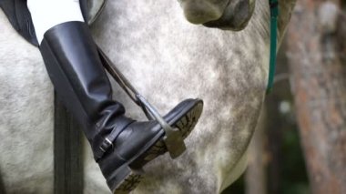 Genç esmer jokey kız parkta kestane yaprak ile besleme at