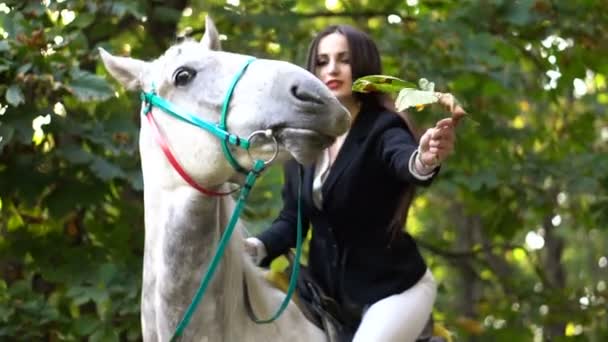 Jovem morena brincadeira menina equitação cavalo no parque — Vídeo de Stock