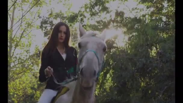 Joven morena jokey girl cabalgando caballo en el parque — Vídeo de stock